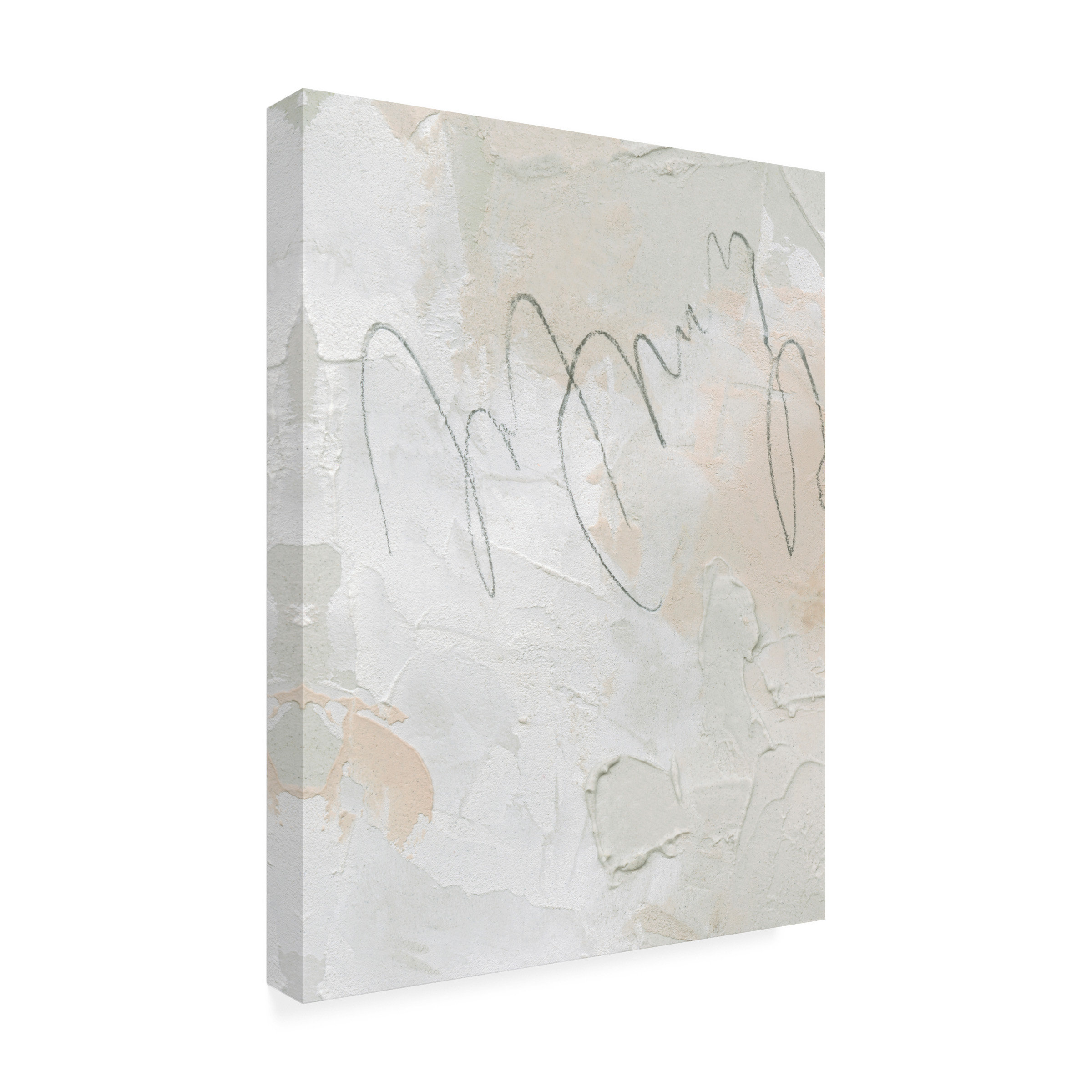 Wrought Studio™ Twitch II by Emma Caroline Wrapped Canvas Print Wayfair